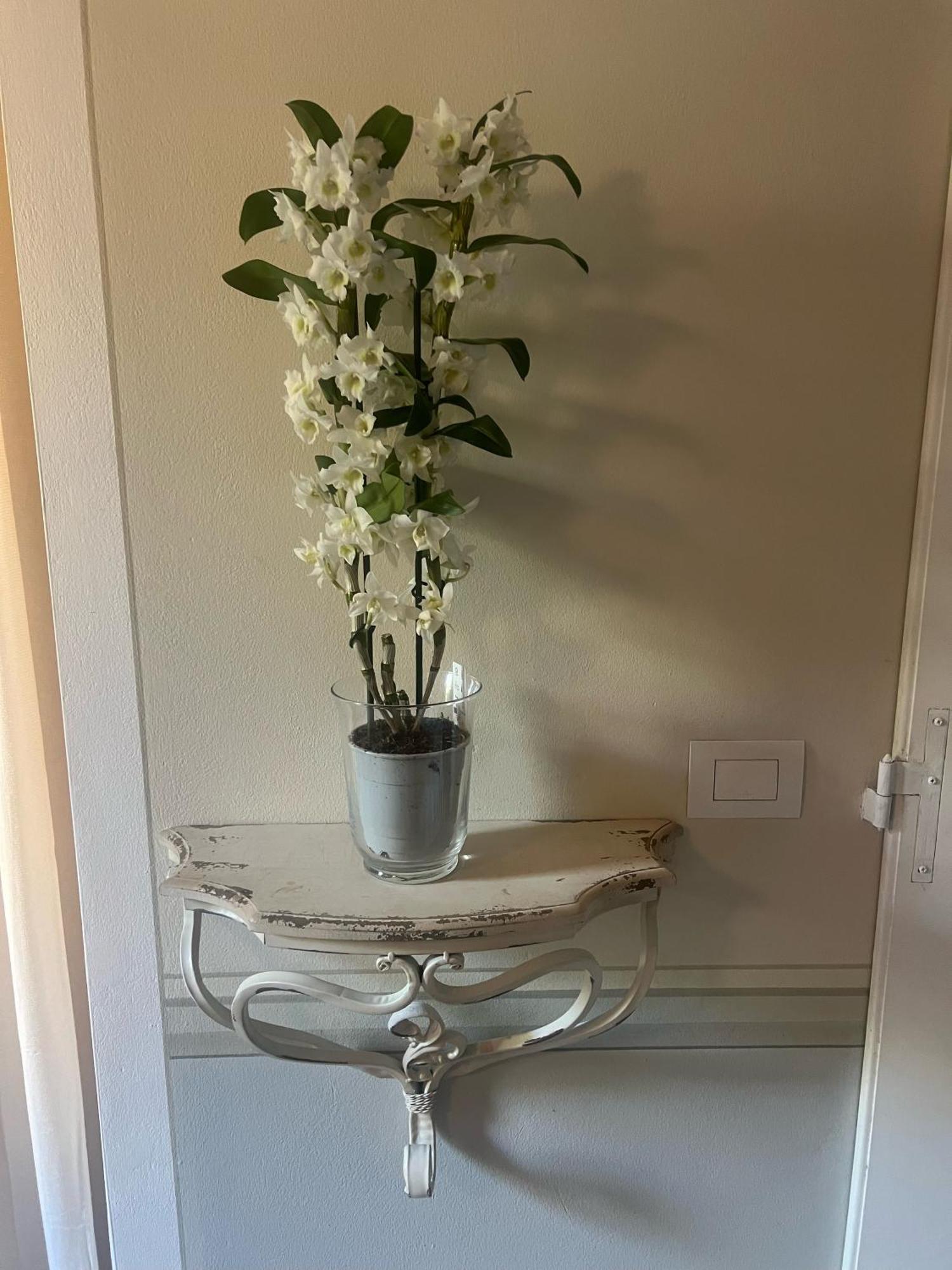 Olive Garden Loft - * Settignano