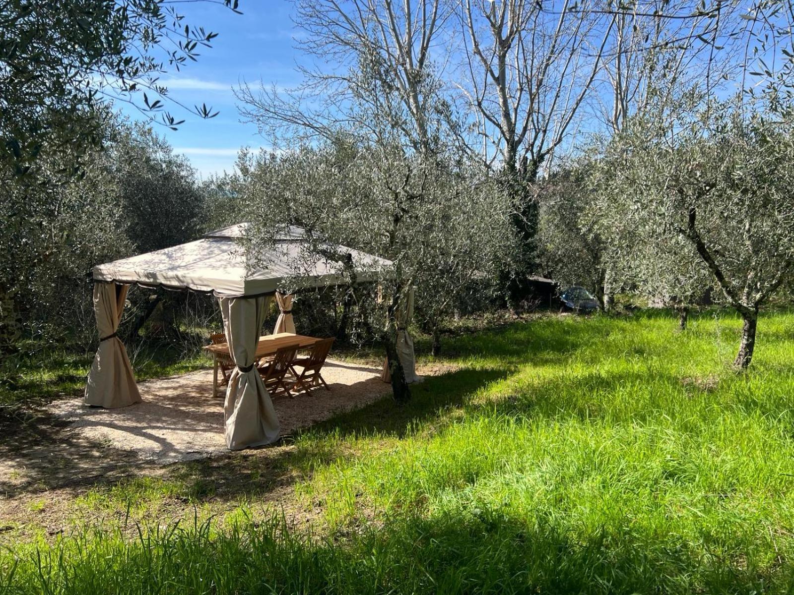 Olive Garden Loft - *