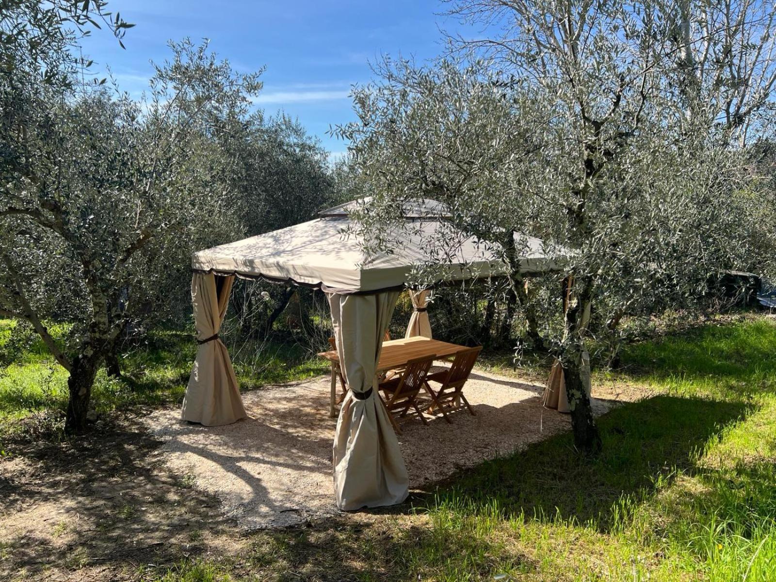 Olive Garden Loft - *